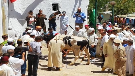 توزيع مساعدات لفائدة مرضى داءي القصور الكلوي والقلب، والأرامل والأيتام بمناسبة إحياء موسم الولي الصالح مولاي بوشتى الخمار