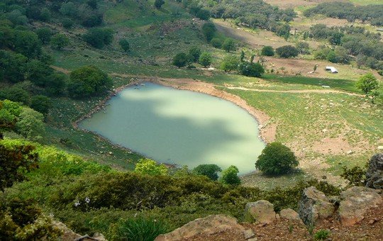 ضاية افرط نجووم أصبحت في خبر كان