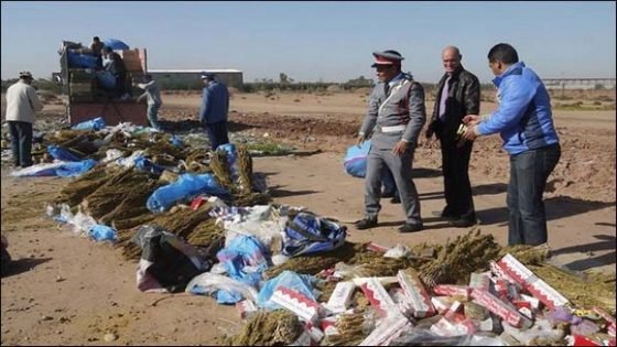 الدرك يحجز كميات هائلة من الكيف نواحي غفساي.. وابتدائية تاونات تتابع 22 شخصا بزراعة القنب الهندي