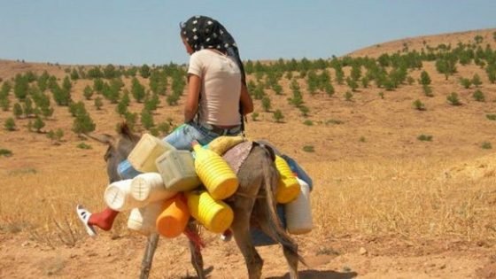 انتخاب نعيمة ورحو رئيسة لجمعية المؤسسة المحمدية لمنتجي الاستثمار والدفاع عن تنمية العالم القروي بقرية أبا محمد