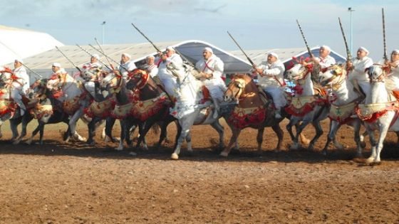 فريق جمعية بنديهاج للفروسية التقليدية بتيسة يتأهل عن جدارة و استحقاق باقصائيات واد أمليل