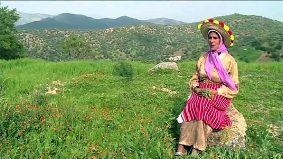 تكريم الفنانة التاوناتية الكبيرة شامة الزاز في ليلة الرواد يوم 10يوليوز 2015 بقاعة زينيت بالرباط