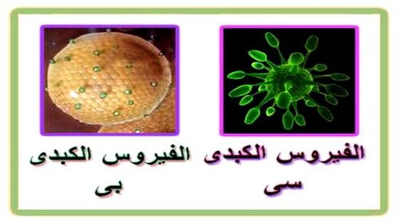 هذا يهم المرضى المصابين بالتهاب الكبد الفيروسي من نوع ” C”:الاستفادة من دواء جديد بتكلفة لا تتجاوز مبلغ 3.000 درهم