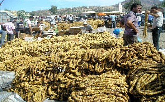 النابوت تين تاونات الممتاز