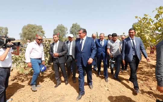 الوزير أخنوش والوفد المرافق له في زيارة لأوراش فلاحية بتاونات