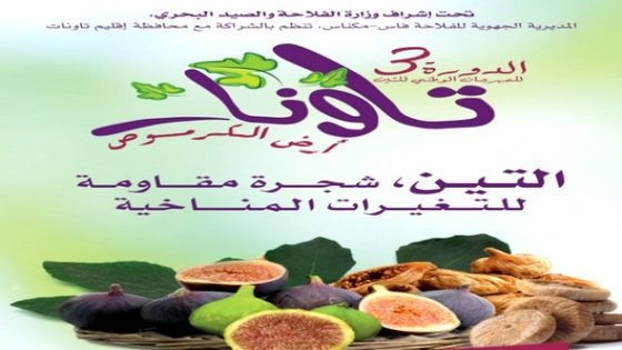 3 وزراء على رأسهم وزير الفلاحة أخنوش يفتتحون الدورة الثالثة للمهرجان الوطني للتين بمدخل تاونات السفلى