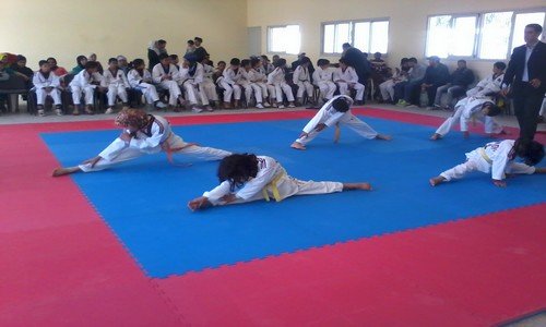 جمعية نادي الوردزاغ للتيكواندو