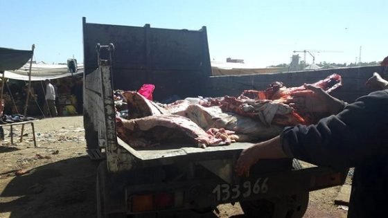حجز وإتلاف لحوم بقرة مصابة كليا بداء السل بقرية أبا محمد…