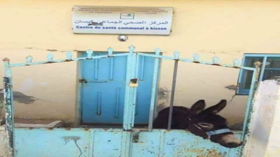 بدائرة غفساي:هل هذه مستوصفات أم اسطبلات يا وزير الصحة؟؟؟