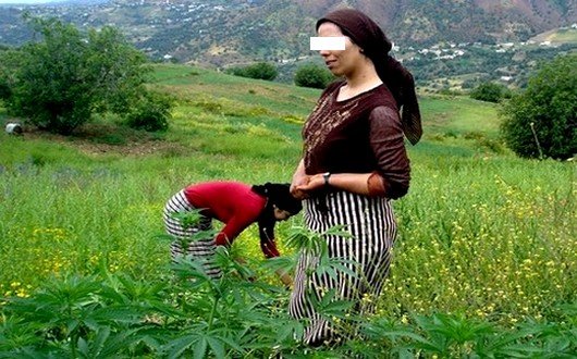 صورة-للكيف-بمنطقة-غفساي