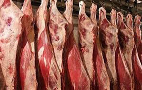 عرض لحوم للبيع في مجزرة عصرية