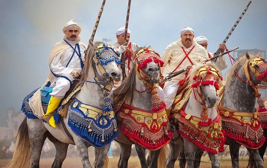 فرسان تيسة