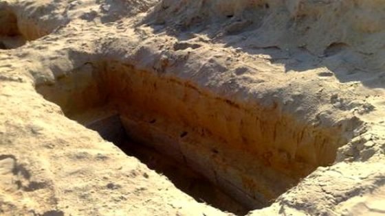 غراب وثعالب نهشت جثته بغابة كيسان بنواحي غفساي:اكتشاف هيكل عظمي لستيني مصاب بالزهايمر