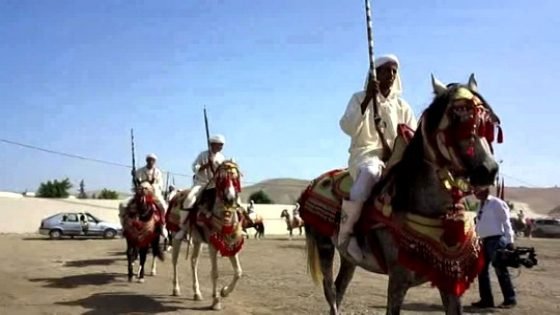 مهرجان الفروسية بتيسة إقليم تاونات في دورته 29 تحول الى معاناة بفعل الحرارة المفرطة وفي غياب شبه تام للأنشطة الموازية