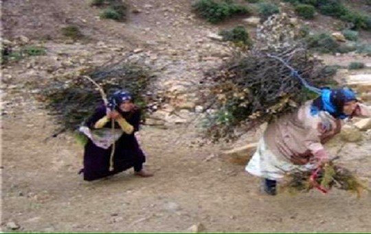 نساء قرويات ينقل الحصاد