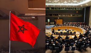 مقال رأي: التأني الاستراتيجي والدبلوماسية الشاملة بقلم إبن تاونات البروفيسور د. خالد فتحي