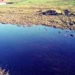 هذه هي تدابير لجنة اليقظة من أجل مواجهة أصحاب معاصر الزيتون الملوثة للبيئة بإقليم تاونات