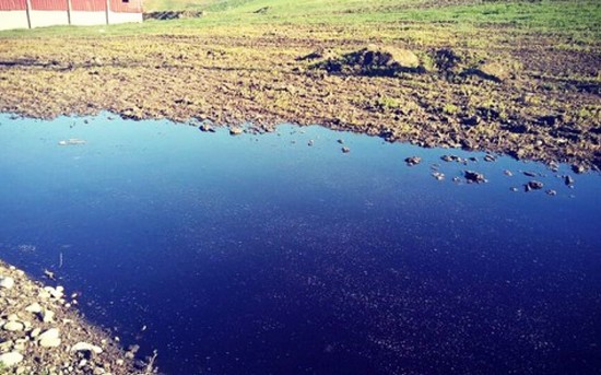 هذه هي تدابير لجنة اليقظة من أجل مواجهة أصحاب معاصر الزيتون الملوثة للبيئة بإقليم تاونات