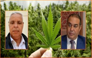 القنب الهندي في تاونات..الخبشي يتفاعل مع سؤال أوزين: الحاجة إلى العدالة