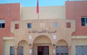 إنتاج الحبوب بلغ  في إقليم تاونات نحو 7.19 مليون.. زيادة بأكثر من 200 في المائة