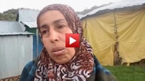 فيديو: تونسية بجبال تاونات