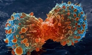 علماء روس يتمكنون من اكتشاف فيروس يقضي على السرطان