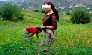 حسب التقرير السنوي للمرصد الوطني للمخدرات:ما لا يقل عن 800 ألف شخص يتعاطون المخدرات بالمغرب