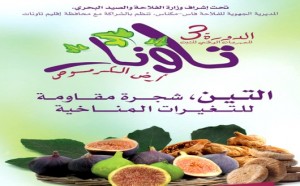 3 وزراء على رأسهم وزير الفلاحة أخنوش يفتتحون الدورة الثالثة للمهرجان الوطني للتين بمدخل تاونات السفلى