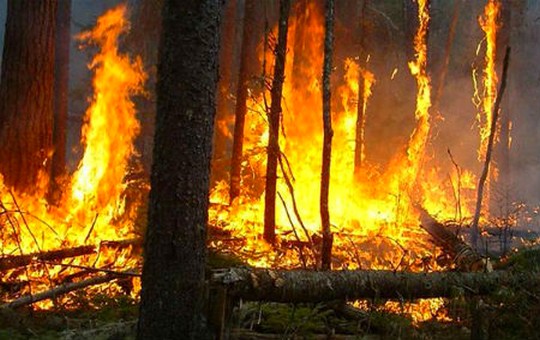 حريق بغابات الوردزاغ بتاونات-أرشيف