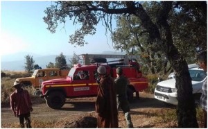 حريق بغابة بتاونات يثير اتهامات لمزارعي الكيف