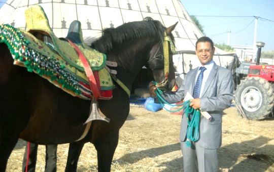 عبد الحميد الجناتي رئيس مهرجان الفروسية مع فرس بتيسة في الدورة السابقة