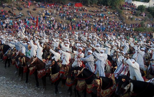 فرق مختصة في الفروسية  حاضرة بقوة في مهرجان عين عائشة