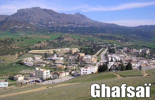 منظر عام لمدينة غفساي